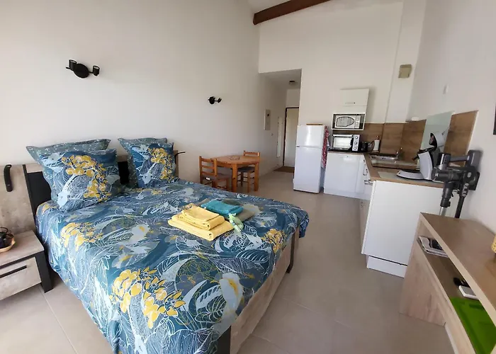 Les Naiades 2 Avec Place Parking Privee Incluse Climatisation Wifi Grande Terrasse Ideal Pour Cure Thermale Apartament *